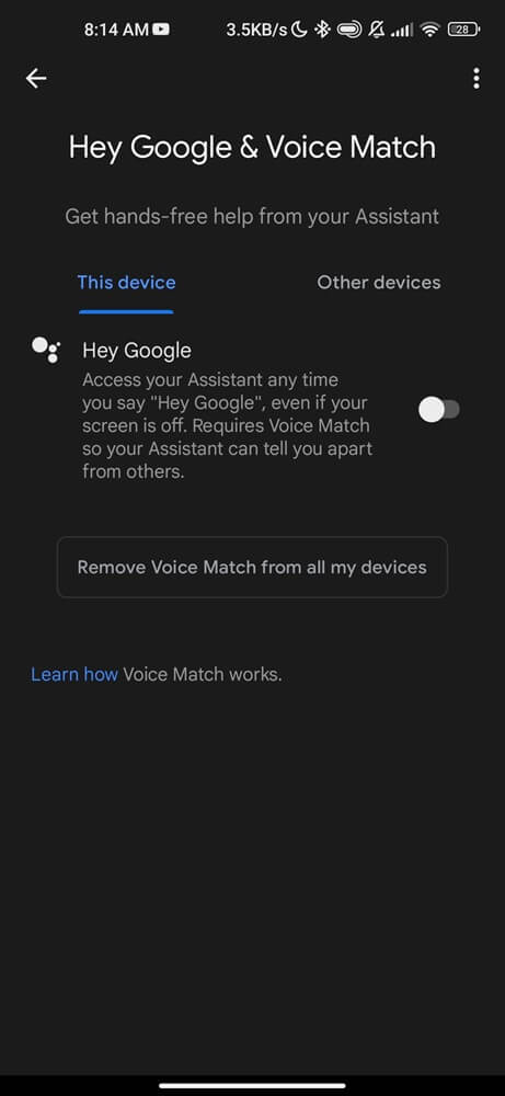 Turn off hey google and voice match